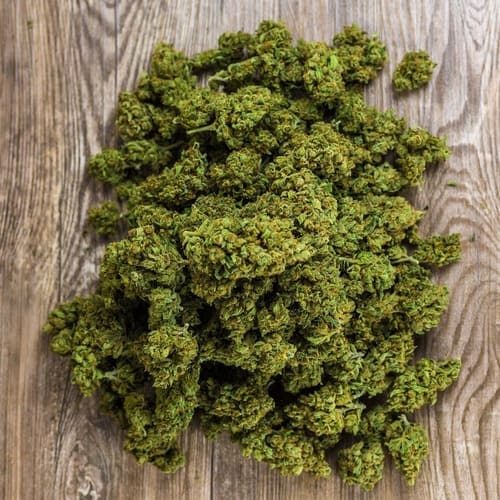 Les delices du cbd huile resine fleurs indoor francais - plante manicuré 500x500