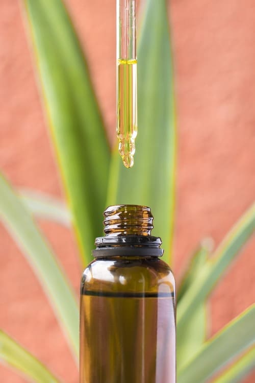 les delices du cbd produits issus du chanvre fond de section culture cbd 4